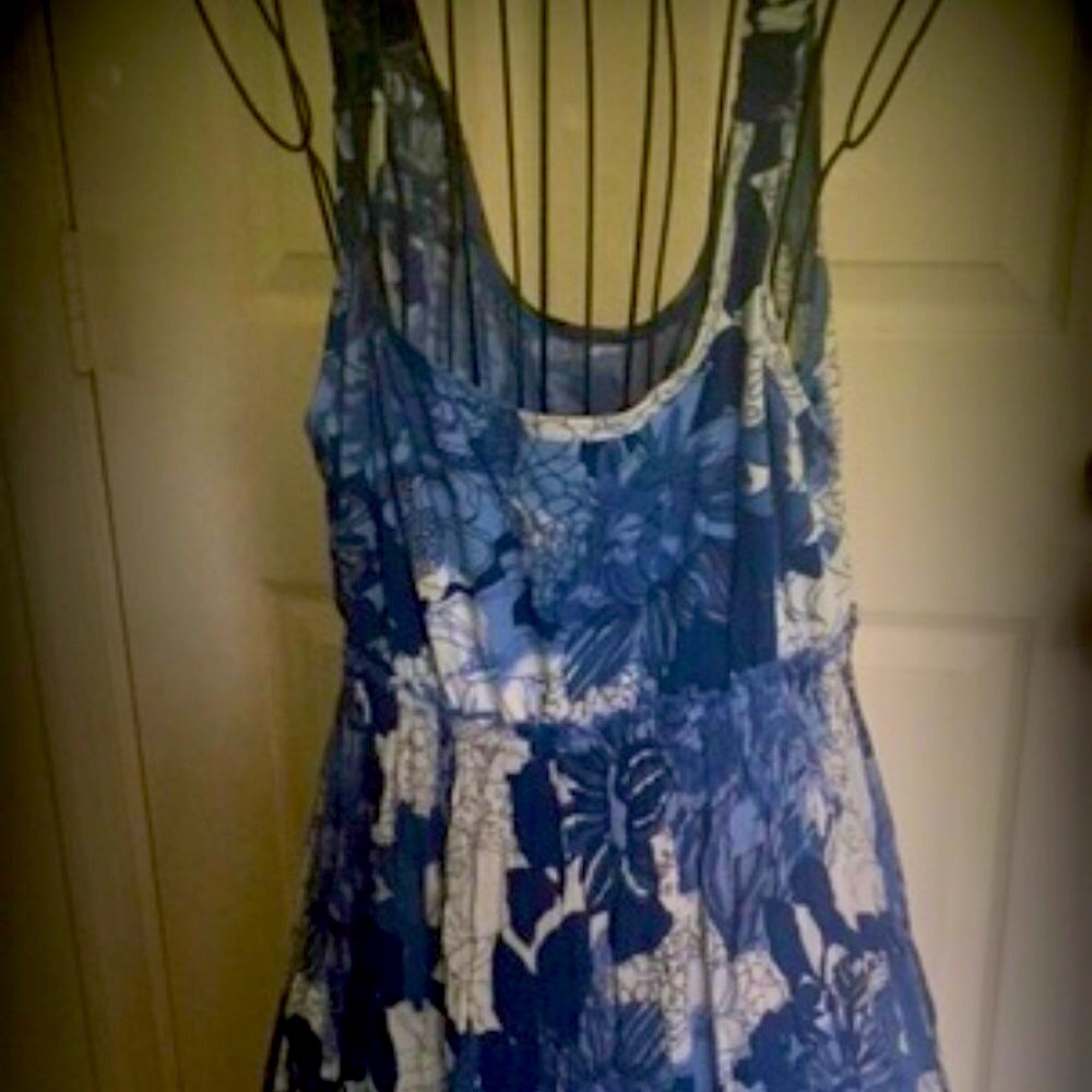 Beautiful Blue/White Floral Sundress (Size Large)